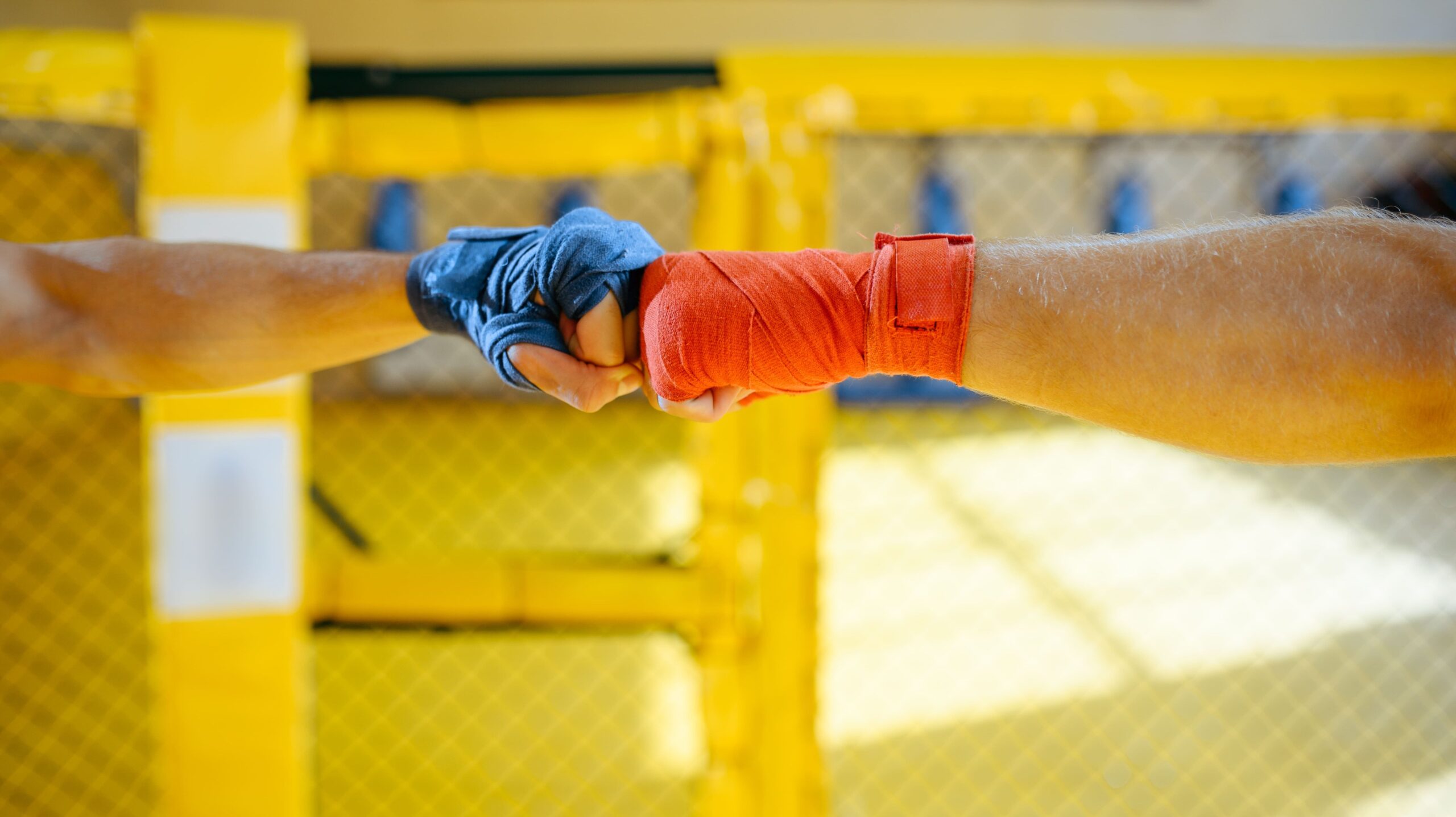 Imagem de duas mãos de lutadores de MMA em um ringue, uma com luva vermelha e a outra com luva azul, pronto para uma rodada de luta. Fundo amarelo com detalhes em azul.