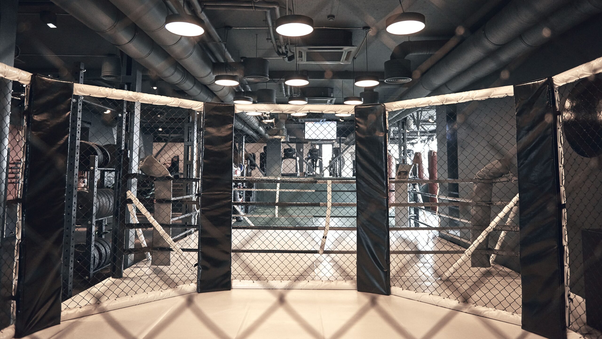 Imagem de uma academia de luta com um ringue de artes marciais, iluminação moderna, equipamentos de treino e ambiente de treinamento fitness.