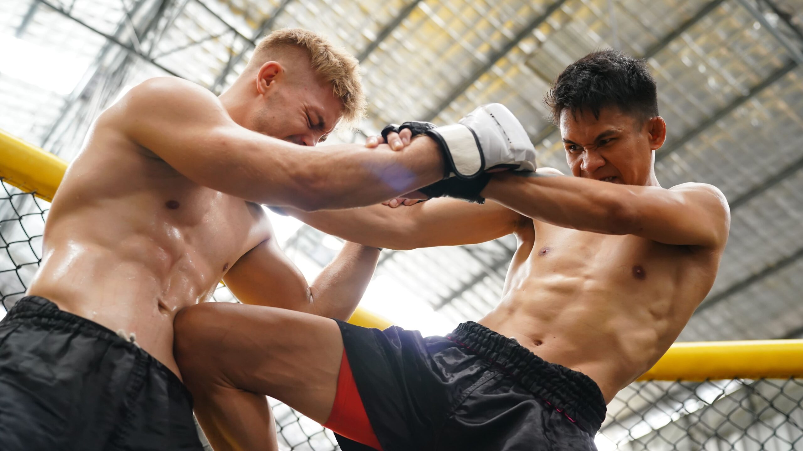 Dois atletas de muay thai em disputa intensa de clinch. O lutador à direita segura os braços do oponente para dominar a postura e desfere uma joelhada firme na região do abdômen.