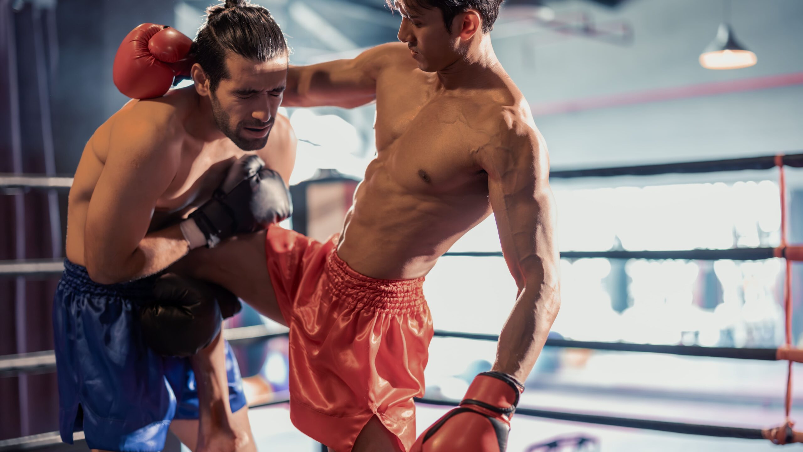Dois atletas de muay thai praticando a técnica de clinch dentro do ringue. O lutador de calção vermelho controla a postura do adversário segurando a nuca e desfere uma joelhada nas costelas, enquanto o atleta de calção azul absorve o impacto do golpe durante o treino.