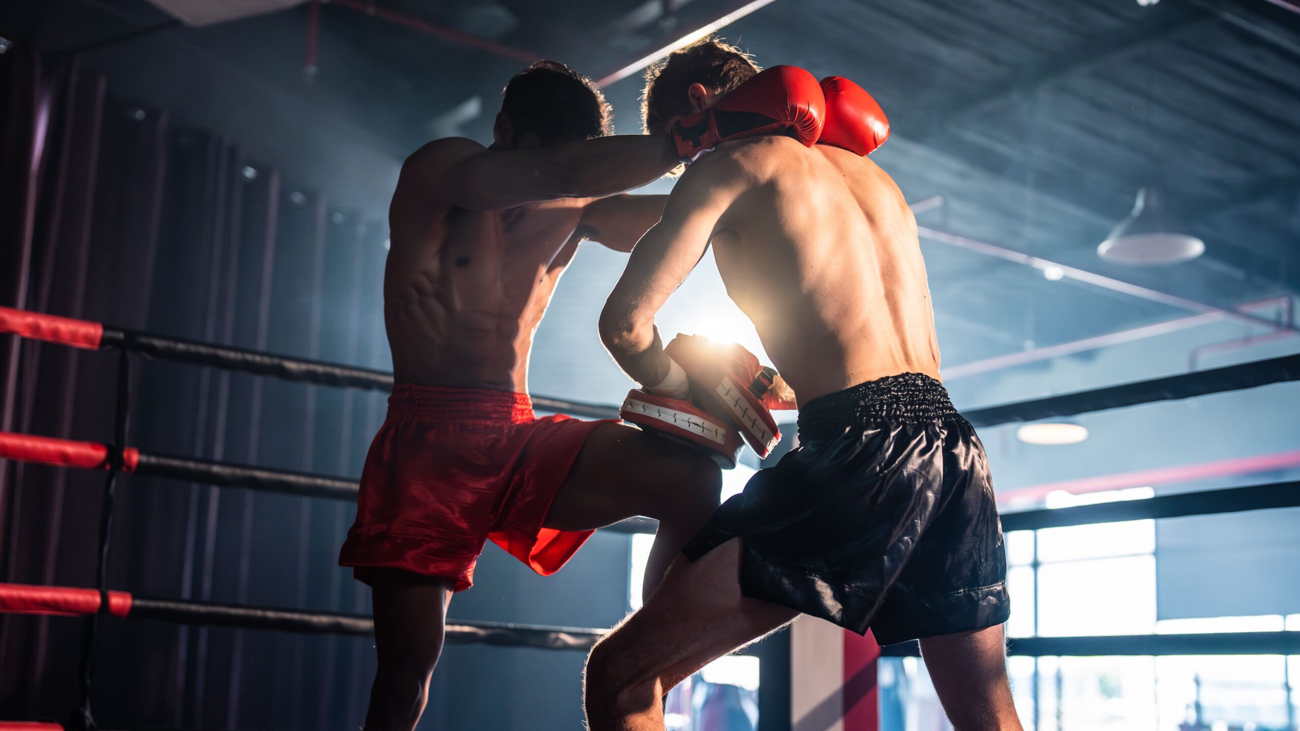Dois praticantes de muay thai em treinamento de clinch no ringue. O lutador de short vermelho e sem camisa, de costas para a câmera, está aplicando um duplo controle de nuca e levantando a perna para uma joelhada reta. O oponente, de short preto, está com as mãos de luvas vermelhas atrás da cabeça de quem o segura, em uma pose de defesa ou transição. A luz solar dramática vinda de trás silhueta os corpos musculosos, iluminando o ringue e a bandeira da Tailândia ao fundo.