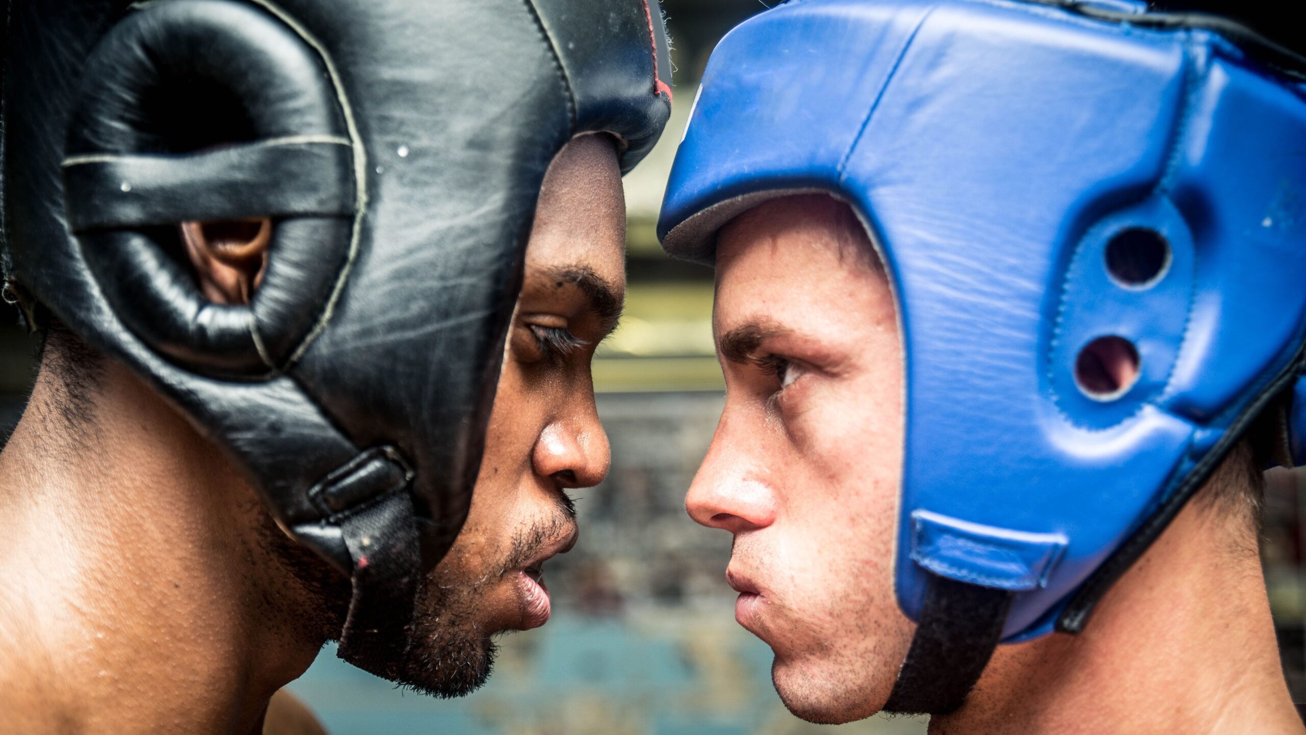 Dois lutadores se encaram no ringue com capacetes de boxe, um usando protetor preto e outro azul, destacando a preparação para o combate.