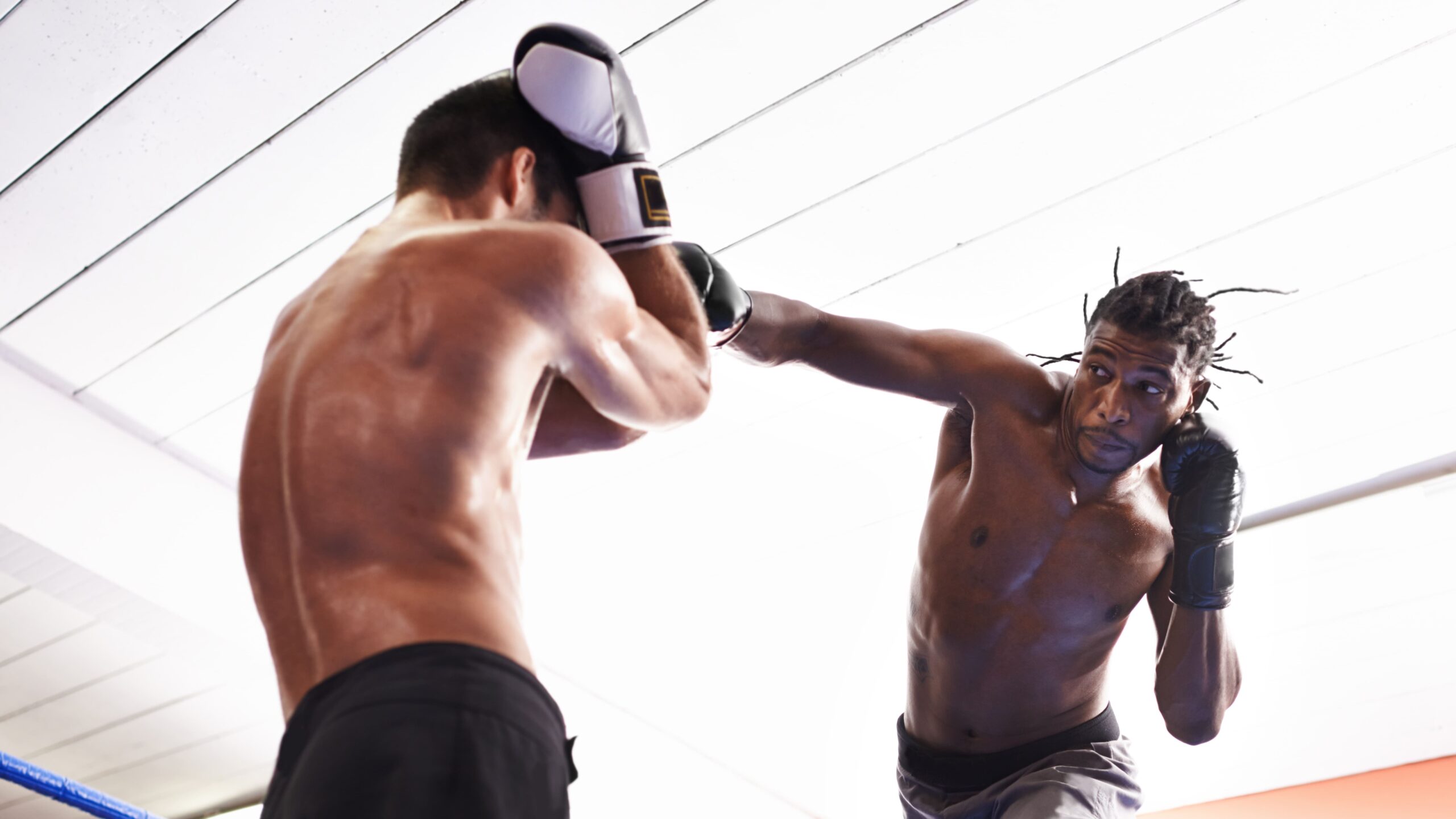 Dois lutadores de boxe em um ringue, um aplica um golpe enquanto o outro se prepara com guarda alta, em ambiente de treino.